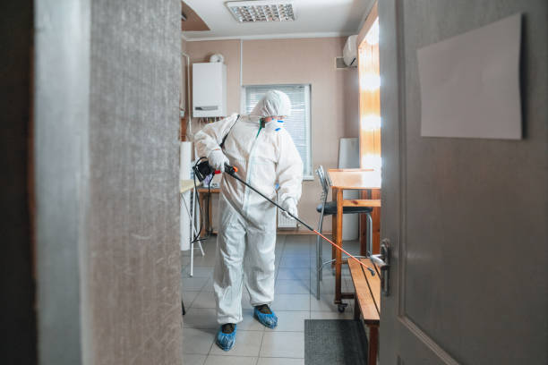 Best Mold Documentation for Insurance Claims  in Spencerville, NM