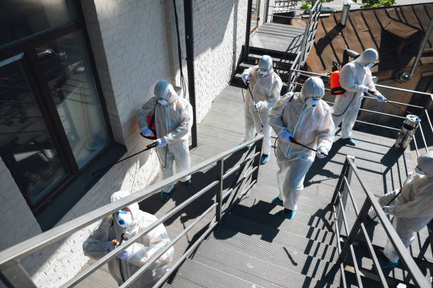 Best Environmental Consulting for Mold Prevention  in Spencerville, NM