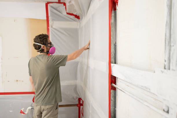 Best Emergency Mold Remediation  in Spencerville, NM