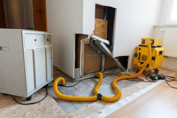 Mold Remediation for Rental Properties in Spencerville, NM